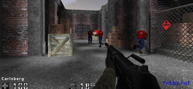 Gioco Assault Cube